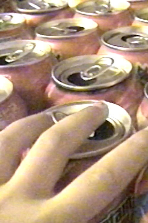 Too Much Fun (2020) poster