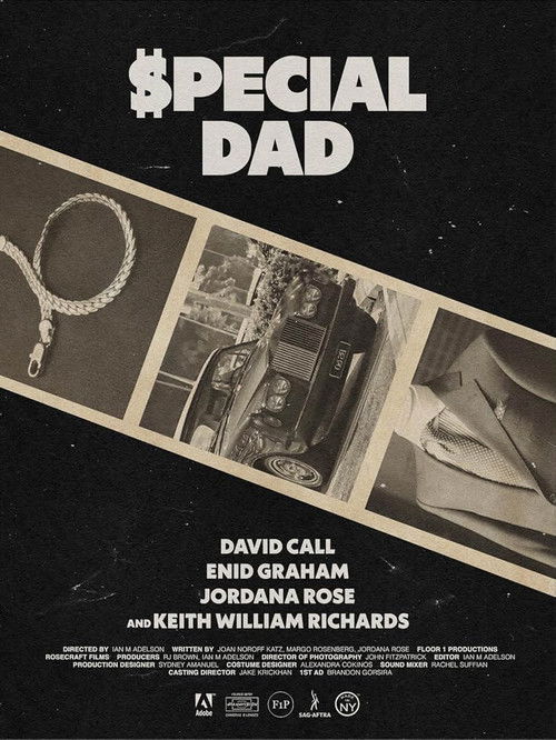 Special Dad poster