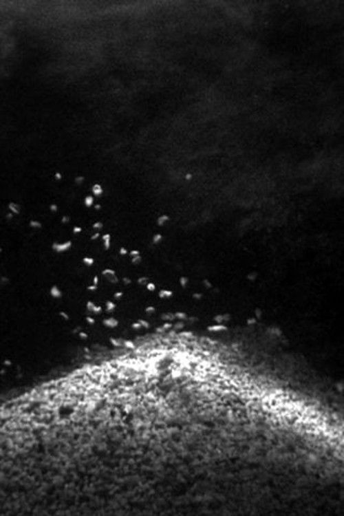 Victory Over the Sun (2007) poster