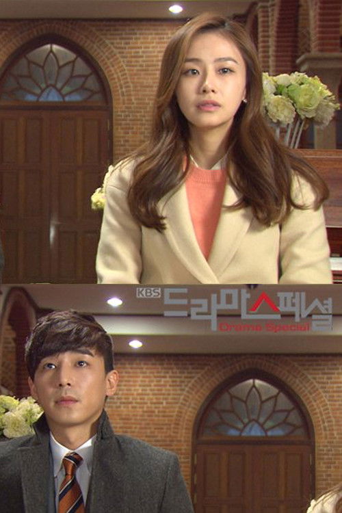 The Wedding Planner (2012) poster