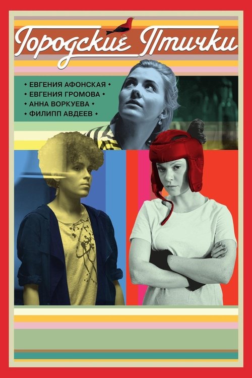 City Birds (2016) poster