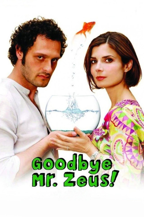 Goodbye Mr. Zeus! (2010) poster