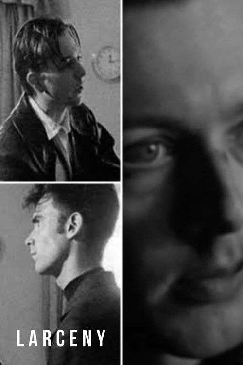 Larceny (1996) poster