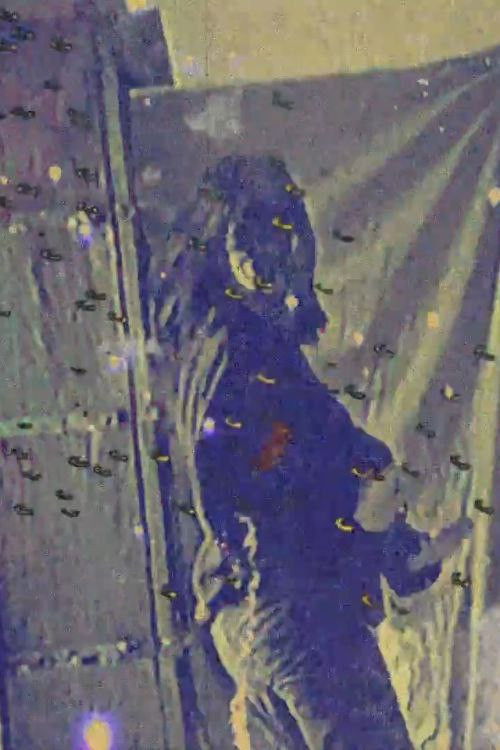 Bajuca Adélia (2020) poster