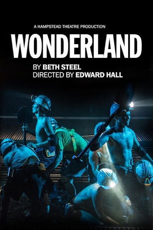 Hampstead Theatre At Home: Wonderland (2014) poster