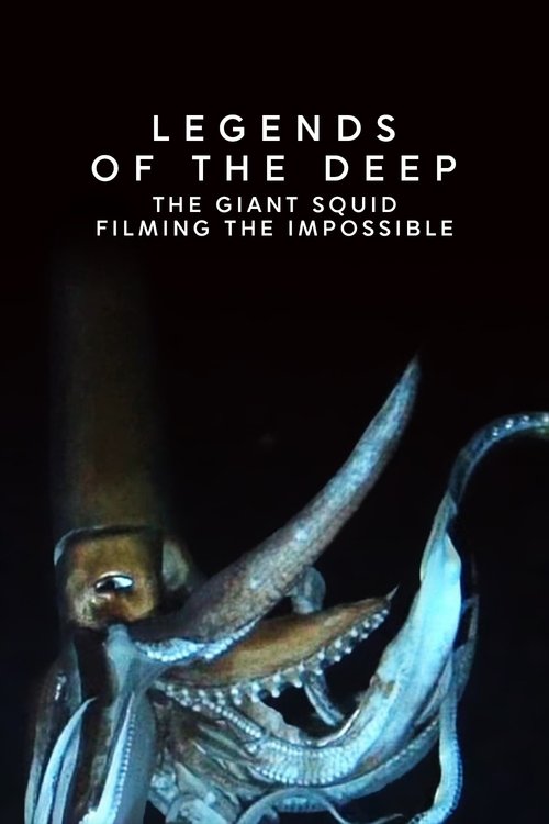 Legends of the Deep: The Giant Squid (2013) poster