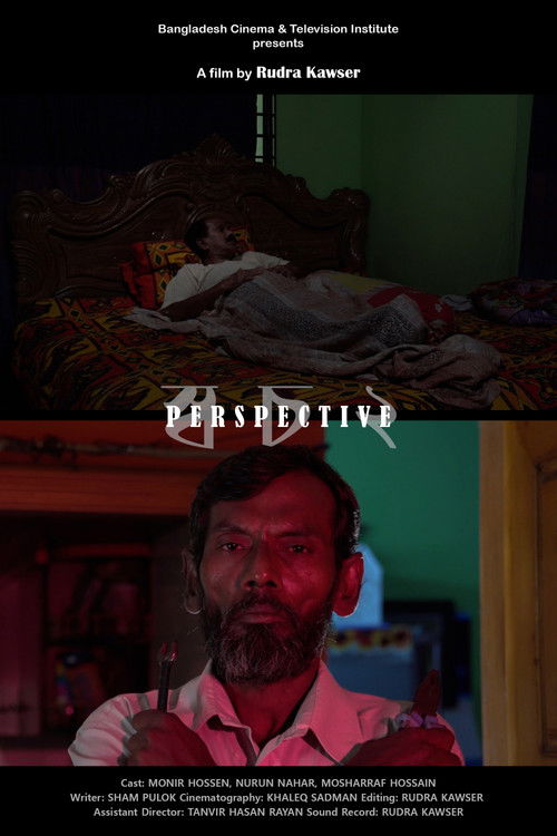 Perspective (2018) poster