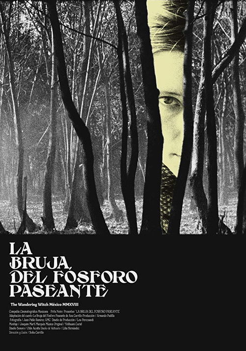 La bruja del fósforo paseante (2018) poster
