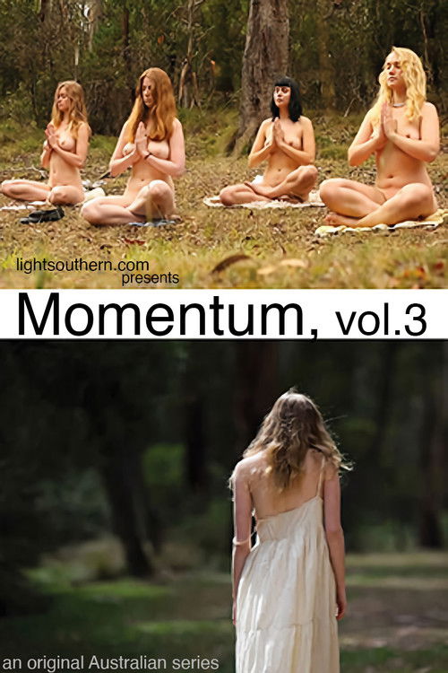 Momentum, vol. 3 (2016) poster