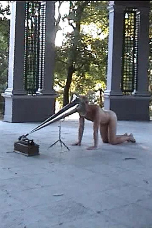 Acoustic Self-Portrait (2000) poster