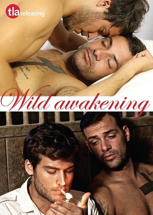 Wild Awakening (2016) poster