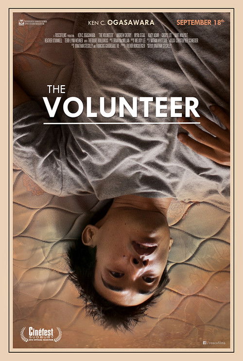 The Volunteer poster
