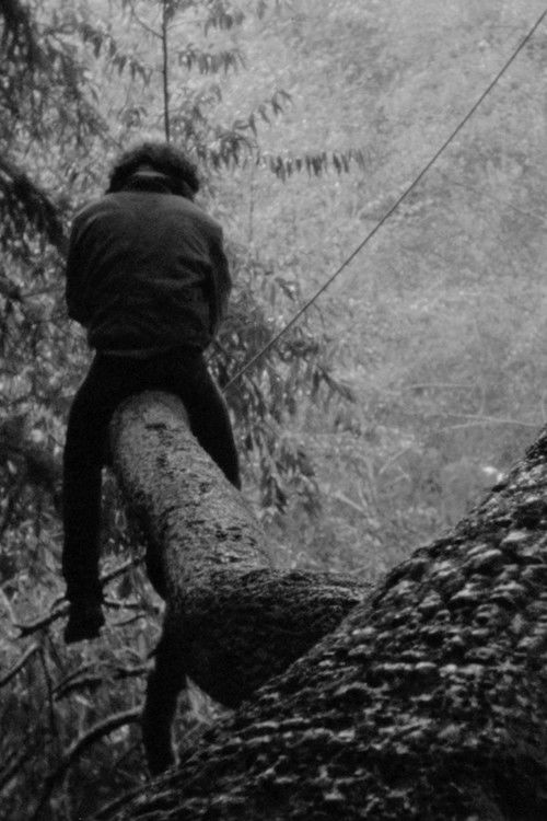 Sanctuary Station (2024) poster