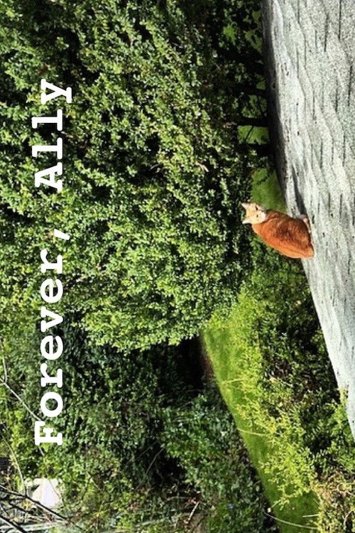 Forever, Ally (2015) poster