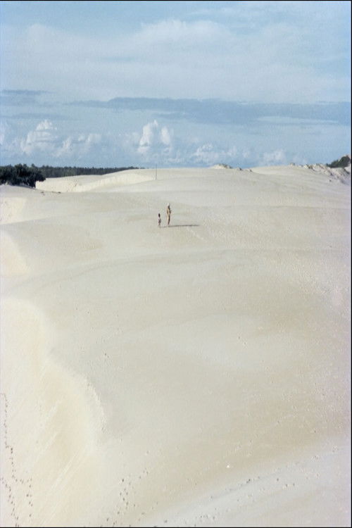 Itaúnas: Ecological Disaster (1979) poster