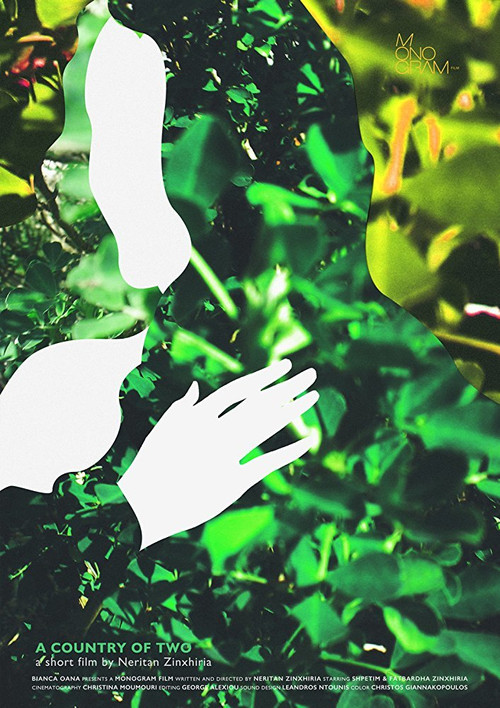 A Country of Two (2016) poster