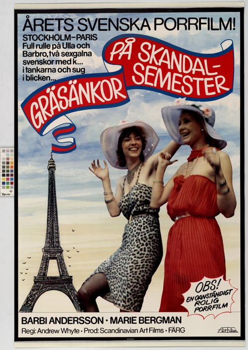 Crazy Swedish Holidays in Paris (1980) poster