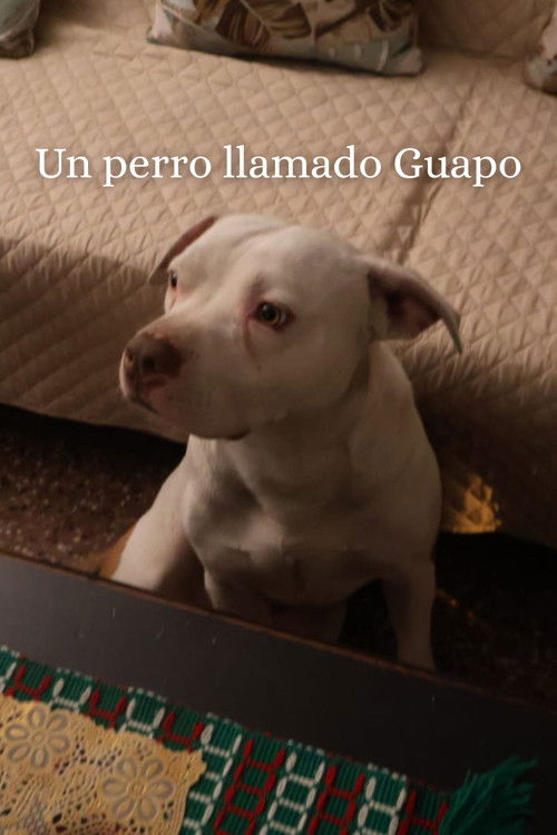 Un Perro Llamado Guapo (2025) poster