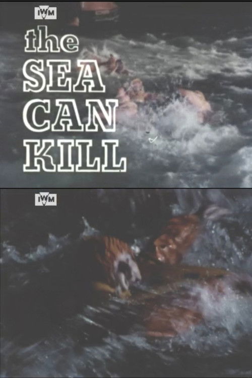 The Sea Can Kill (1978) poster