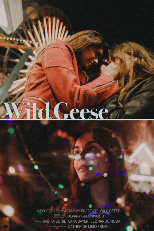 Wild Geese (2019) poster