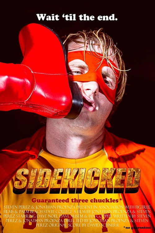 SideKicked (2016) poster