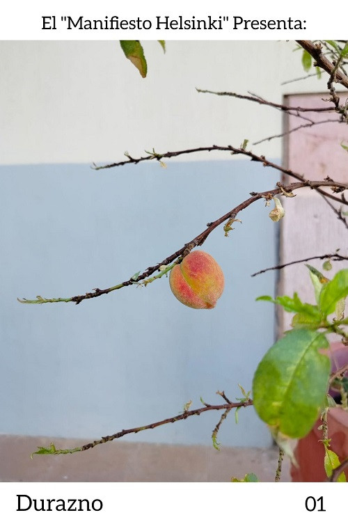 Durazno (2025) poster
