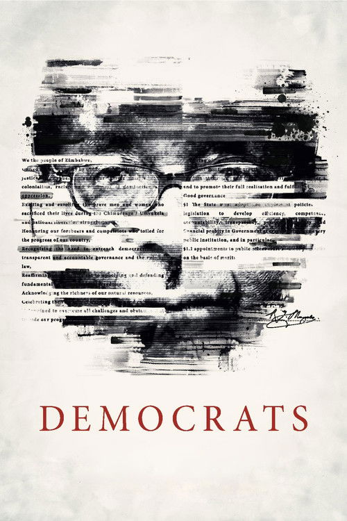 Democrats (2014) poster