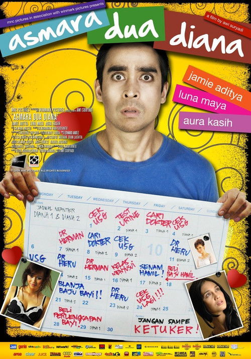 The Romance of Two Dianas (2009) poster