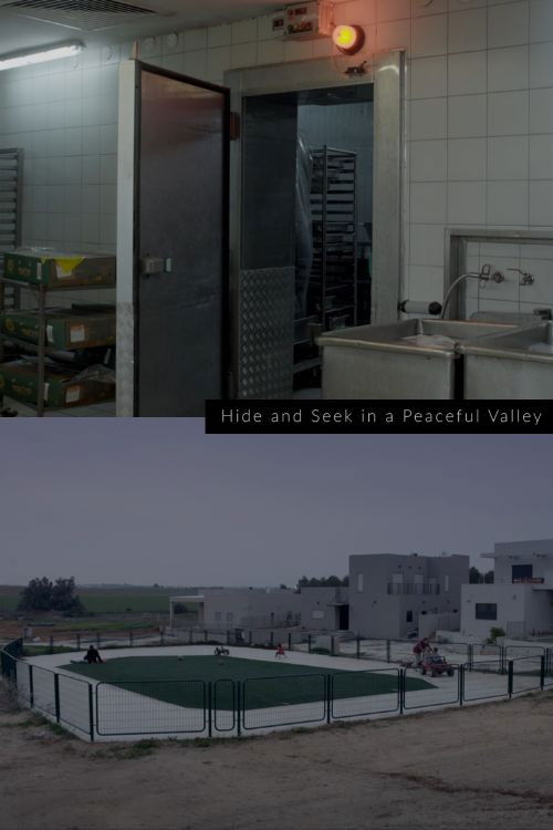 Hide and Seek in a Peaceful Valley (2020) poster