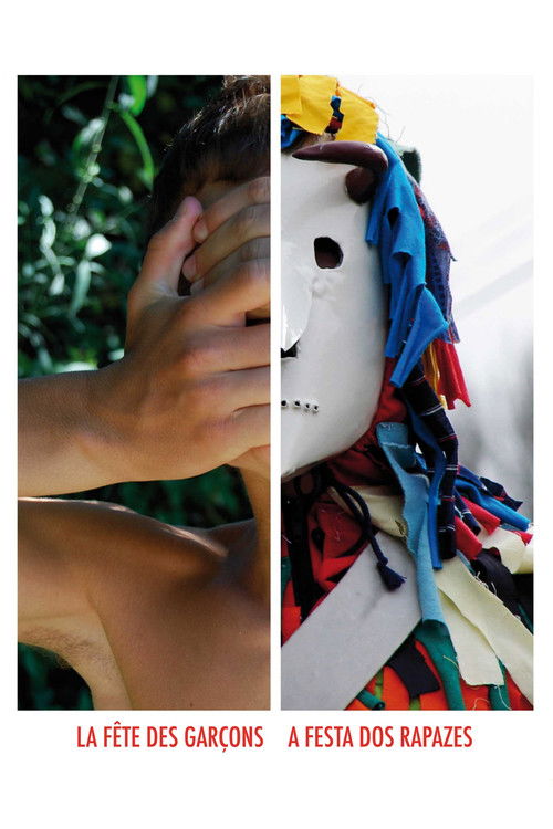 La Fête des garçons (2011) poster