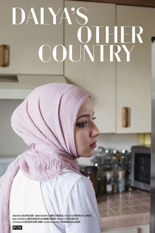 Dalya's Other Country (2017) poster