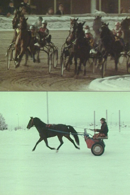 The Race (1981) poster