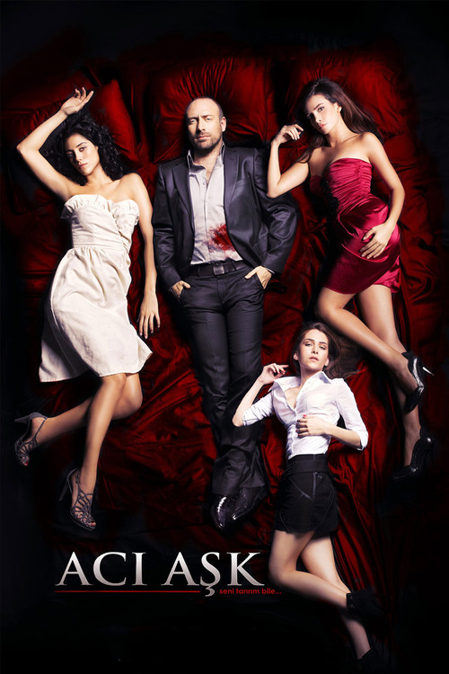 Acı Aşk (2009) poster