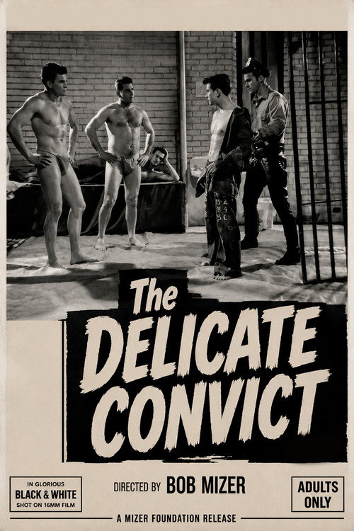 Delicate Convict (1964) poster