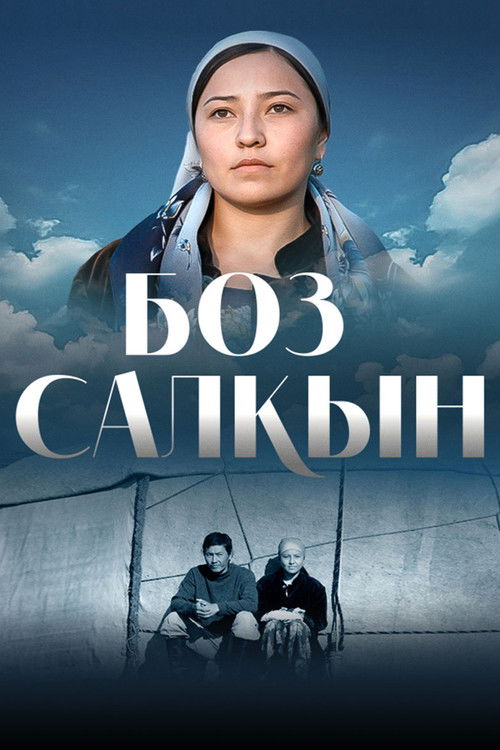 Boz salkyn (2007) poster