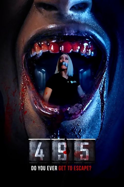 495 (2025) poster
