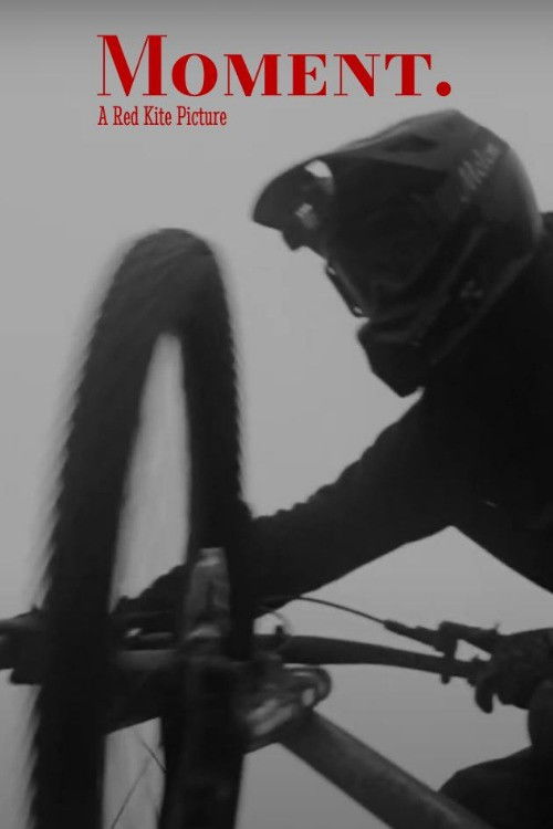 Moment. (2024) poster