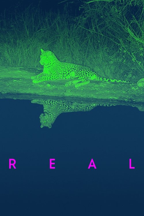 Real (2024) poster