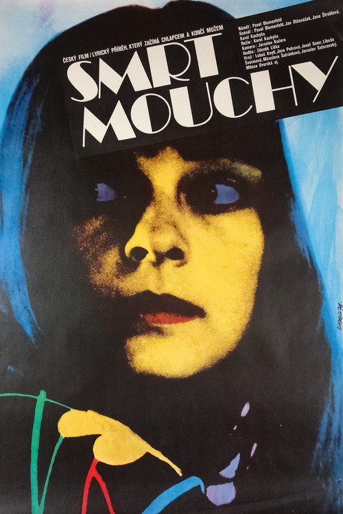Smrt mouchy (1977) poster