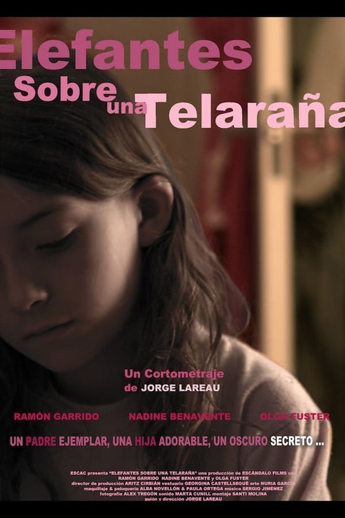 Elefantes sobre una telaraña (2011) poster