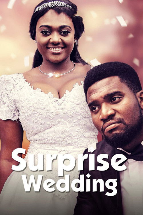 Surprise Wedding (2017) poster