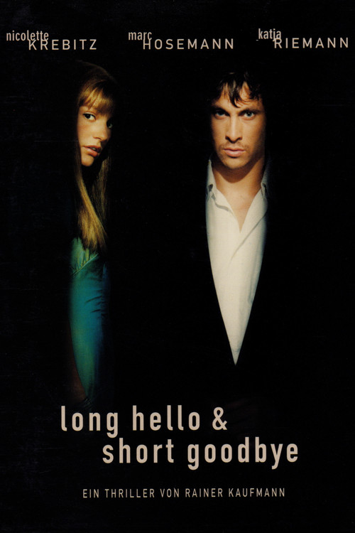 Long Hello and Short Goodbye (1999) poster