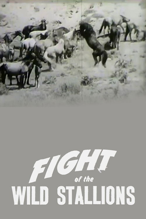 Fight of the Wild Stallions (1947) poster