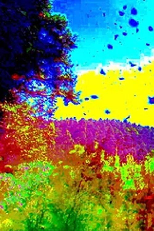 Pervading Animal (2021) poster