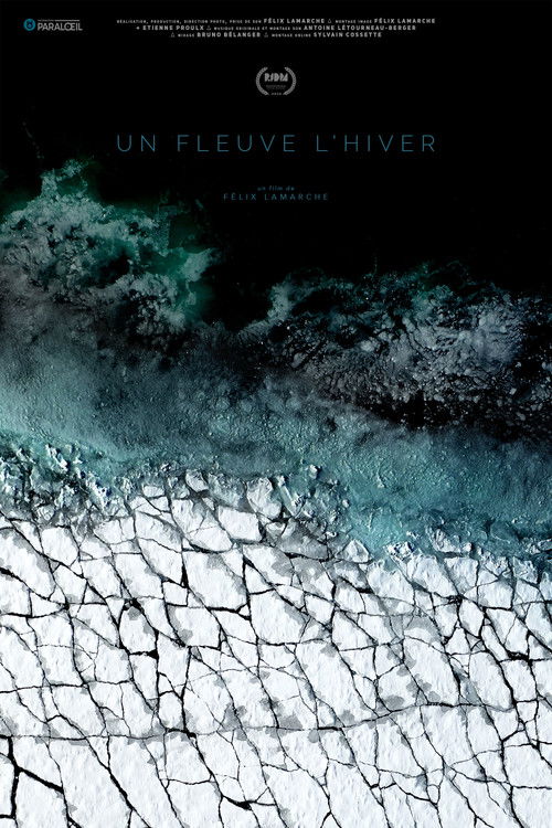A River in Winter (2020) poster