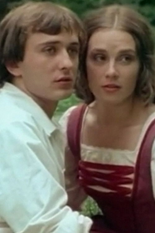 A nagyenyedi két fűzfa (1979) poster