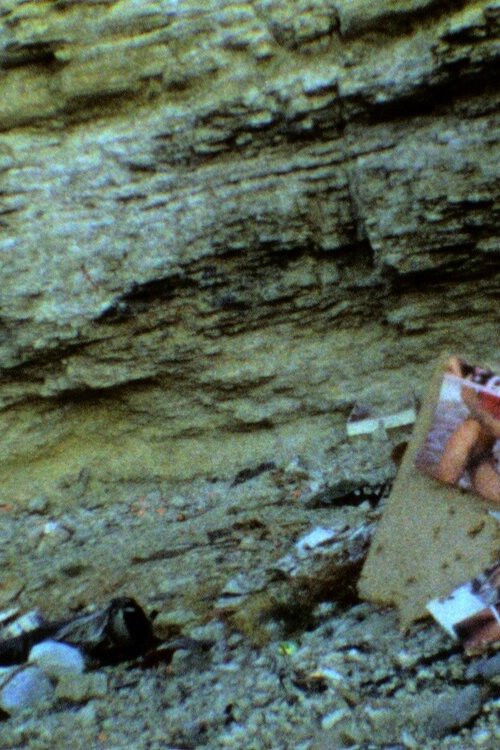 Those Inescapable Slivers of Celluloid (2011) poster