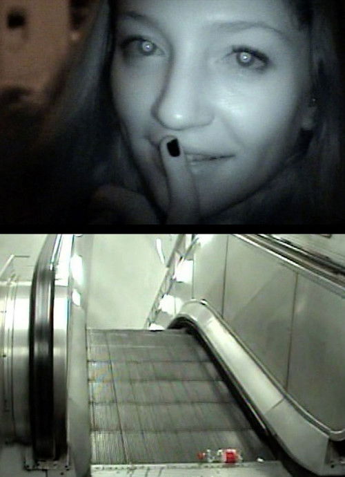 Chameleon (2018) poster