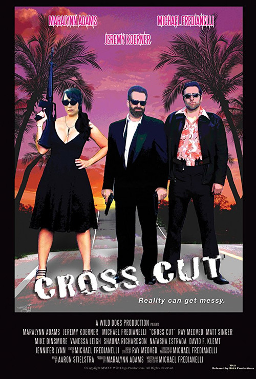 Cross Cut (2015) poster