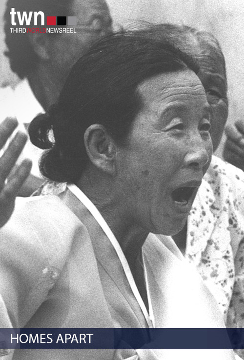 Homes Apart: Korea (1991) poster